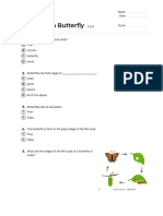 Quiz Life Cycle of A Butterfly 1