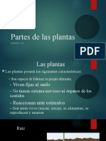 Partes de Las Plantas