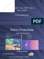 Protoctista