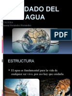 Cuidado Del Agua