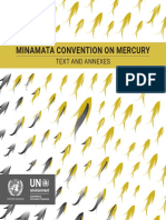 Minamata Convention On Mercury: Text and Annexes