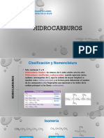 Hidrocarburos PDF