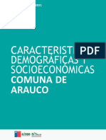 Características demográficas y socioeconómicas de Arauco