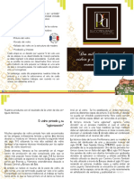 Techniques Leaflet (New - Logo) Español - Web