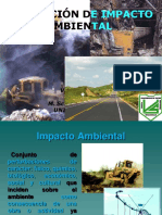 Evaluacion de Impacto Ambiental