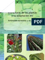 Adaptación de las plantas al ambiente