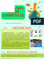 Contaminacion Ambiental