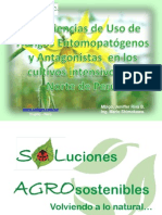 Experiencias de Uso de Hongos Entomopatógenos y Antagonistas en Los Cultivos Intensivos Del Norte de Perú