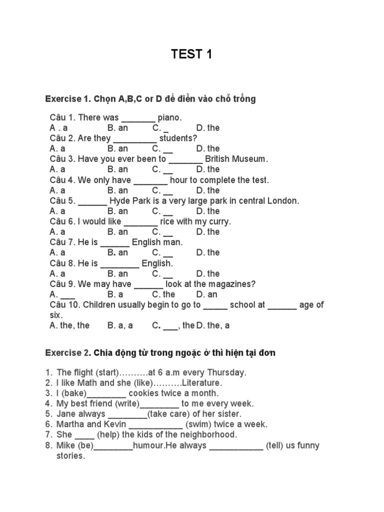 English Grammar Exercises for Beginners | PDF | Language Arts ...
