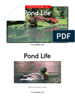 Raz Lb15 Pondlife