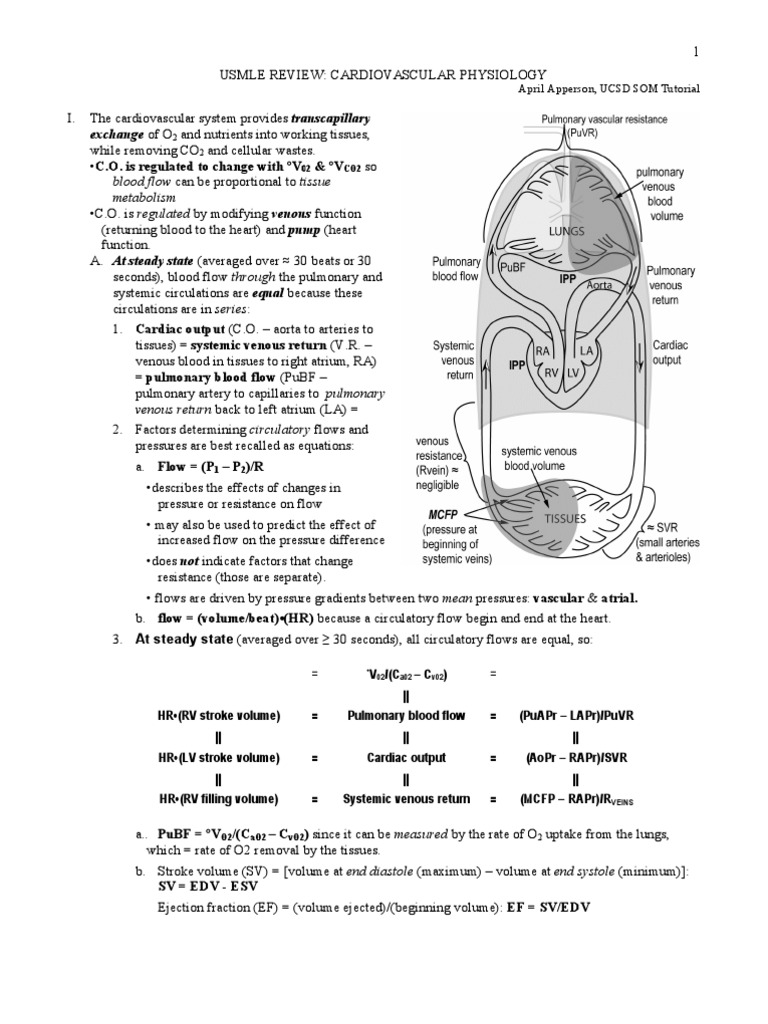 Cardiac Output and Vascular Resistance | PDF | Heart | Circulatory System