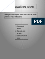 Grupo Cervical Lateral Profundo