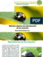 Métodos Atípicos de Reproducción de Los Insectos