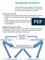 Gestión Hídrica A Nivel Planta