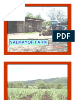 Valmayor Farms