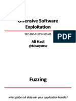 Offensive Software Exploitation: Ali Hadi