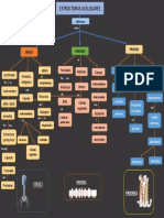 Mapa Viru, Priones, Viroides