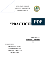 Sharifa Sammah Practicum