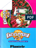 Enciclopedia Disney 11