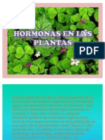 Hormonas en Las Plantas - PPTX Power Point