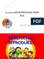 Kesehatan Reproduksi Pada Pus