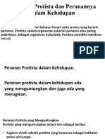 Kingdom Protista Dan Peranannya Dalam Kehidupan