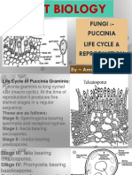 Fungi:-Puccinia Life Cycle & Reproduction: by - Amrita Kushwaha Mam