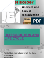 Asexual and Sexual Reproduction: Fungi - Penicillium