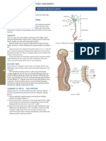 RADIOGRAPHIC POSITIONINGandRELATED ANATOMY - 704-711.en - Id