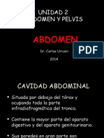 Anatomía abdominal y pared anterolateral