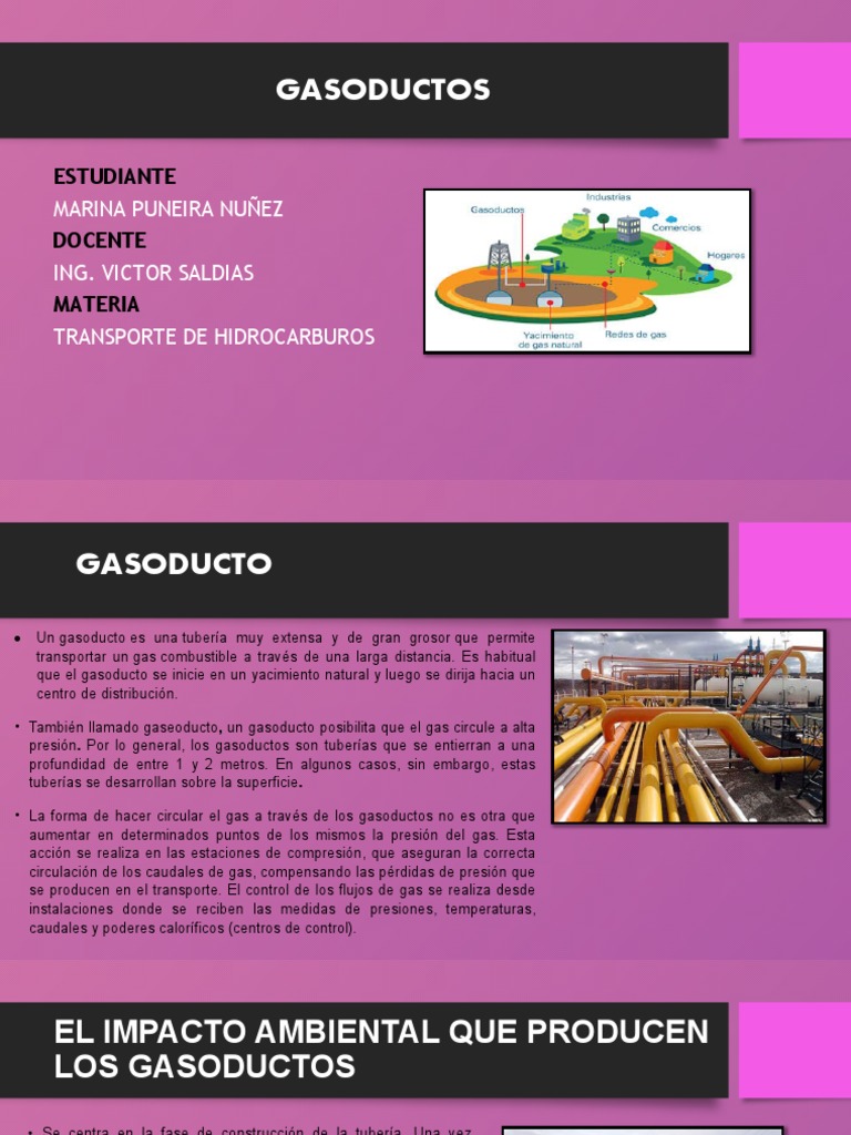 Gasoductos Marina Puneira | PDF | Transporte por tubería | Gas natural ...