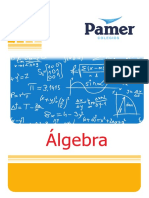 Marco Teorico - Algebra I Bim