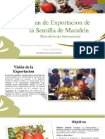 Plan de Exportacion