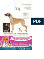 345-2019!02!05-Patologias Hereditarias en Perros