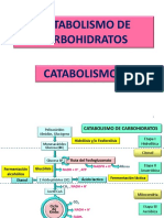 Catabolismo de Carbohidratos