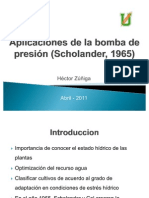 Aplicaciones de La Bomba de Presión (Scholander