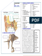 Práctica - El Oído