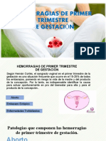 Hemorragias de Primer Trimestre