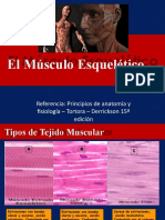 Musculo Esqueletico