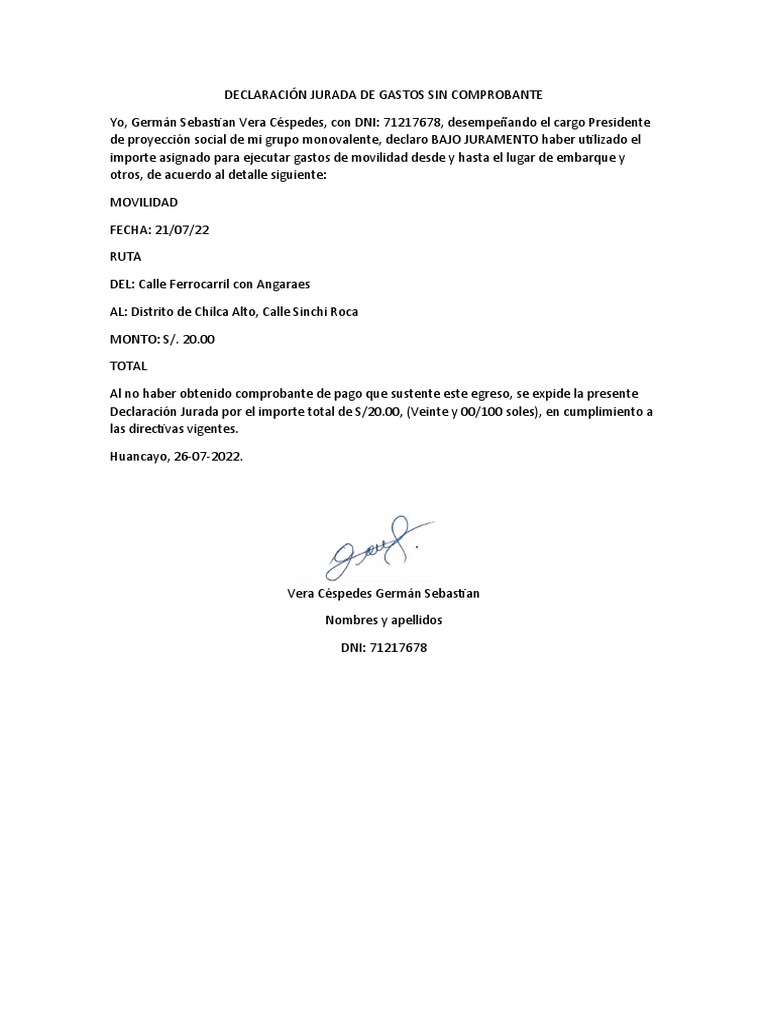 Modelo De Declaracion Jurada De Gastos Sin Comprobant Vrogue Co/modelo ...