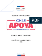Bases CAPITAL ABEJA EMPRENDE 2022 CHILE APOYA Araucanía V°B°