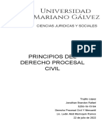 Principios Procesales Civiles