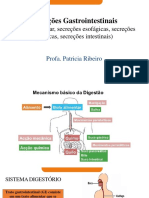 Aula 2 PDF