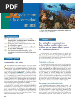 Campbell NA & JB Reece. 2007. Biología. Séptima Edición.-671-715