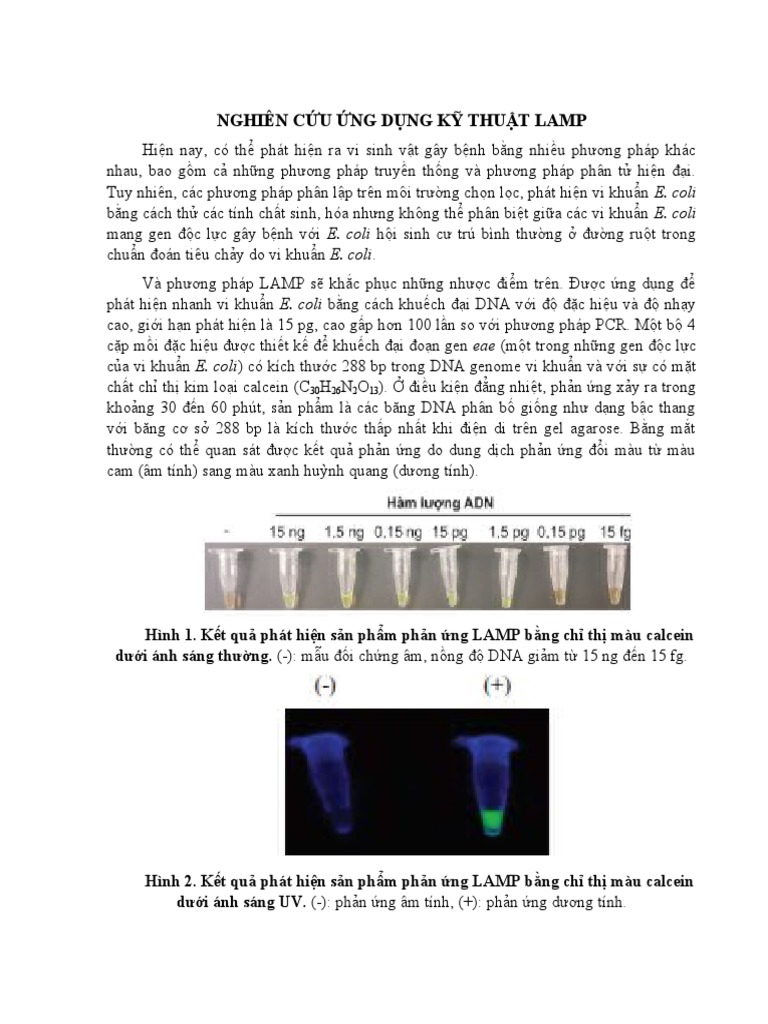 KỸ THUẬT LAMP | PDF