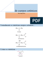 Síntesis de Cuerpos Cetónicos