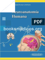 Neuroanatoma Humana Porrero