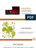 Vinos Blancos y Rosados Sesión 3 PDF