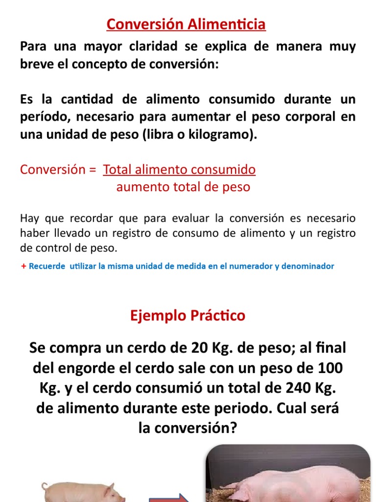 Conversión Alimenticia-Para Practicar | PDF