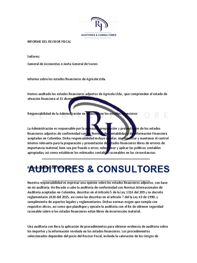 Informe Del Revisor Fiscal Pdf Auditoría Estado Financiero